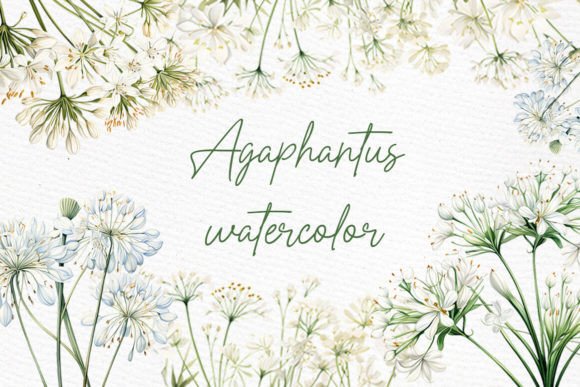 Download White Wild Flowers Clipart Watercolor - Flowers Collection