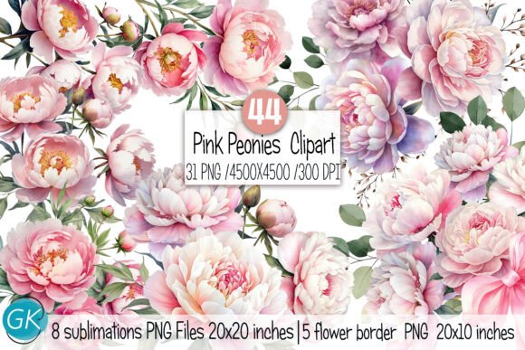 Download Watercolor Blush Peonies Flowers Clipart - Flowers Collection