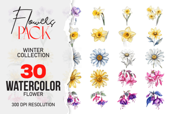 Download Wild Floral Clipart Watercolor Flowers - Flowers Collection