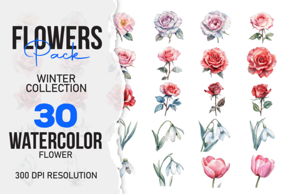 Download Wild Floral Clipart Watercolor Flowers S - Flowers Collection
