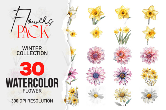 Download Wild Floral Clipart Watercolor Flowers - Flowers Collection