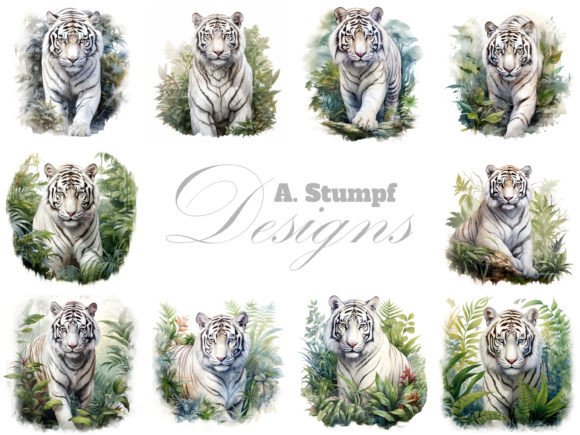 Download White Tiger Watercolor Animal Clipart - Tiger Collection
