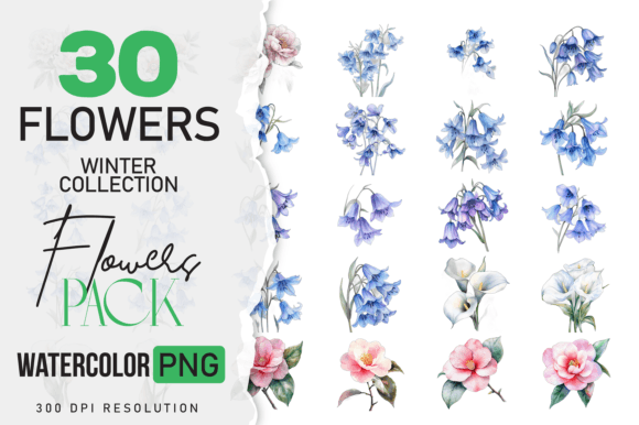 Download Wild Floral Clipart Watercolor Flowers - Flowers Collection