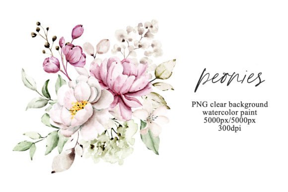 Download Pink Flowers Watercolor Peonies, PNG. - Flowers Collection